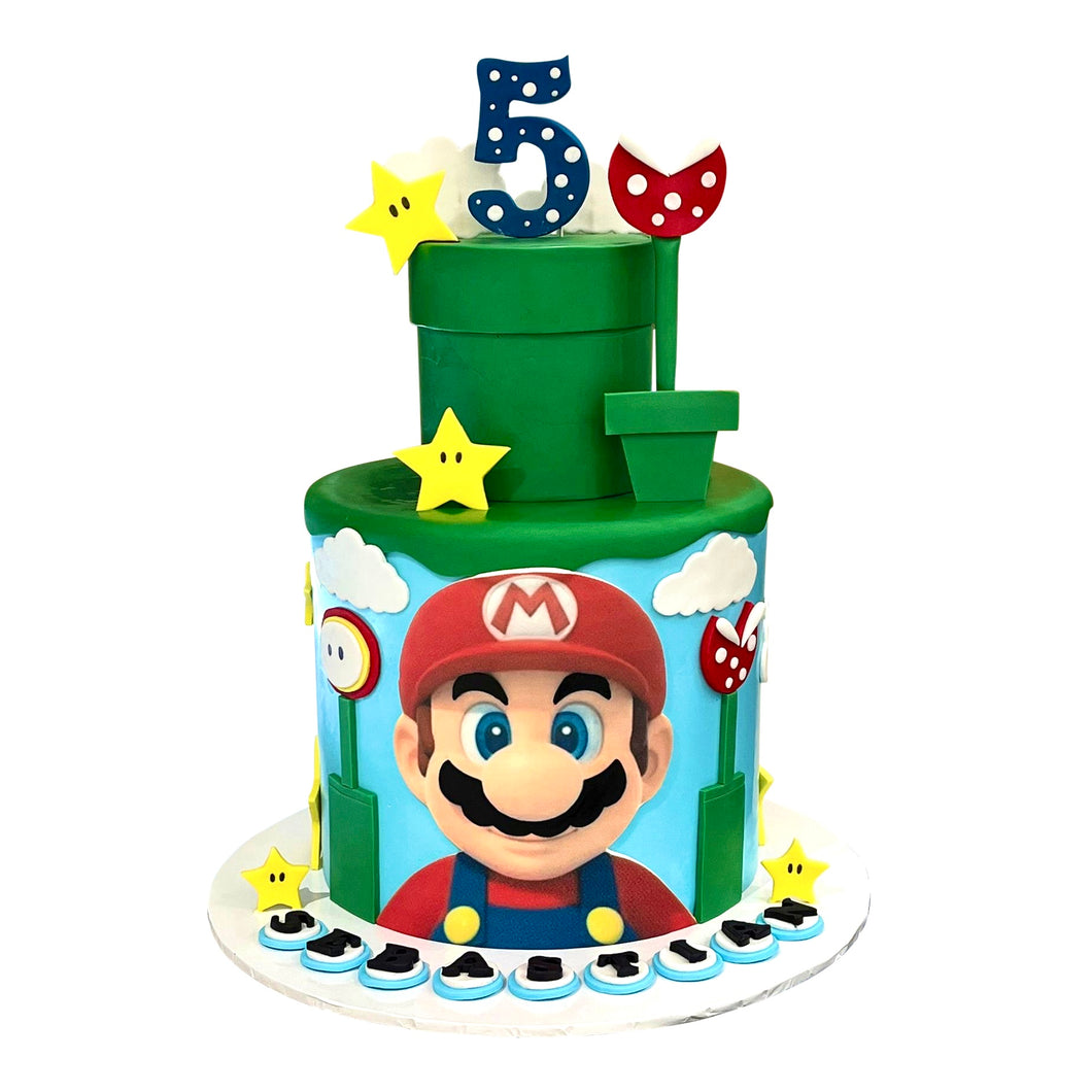 Mario Video Game Cake (3)