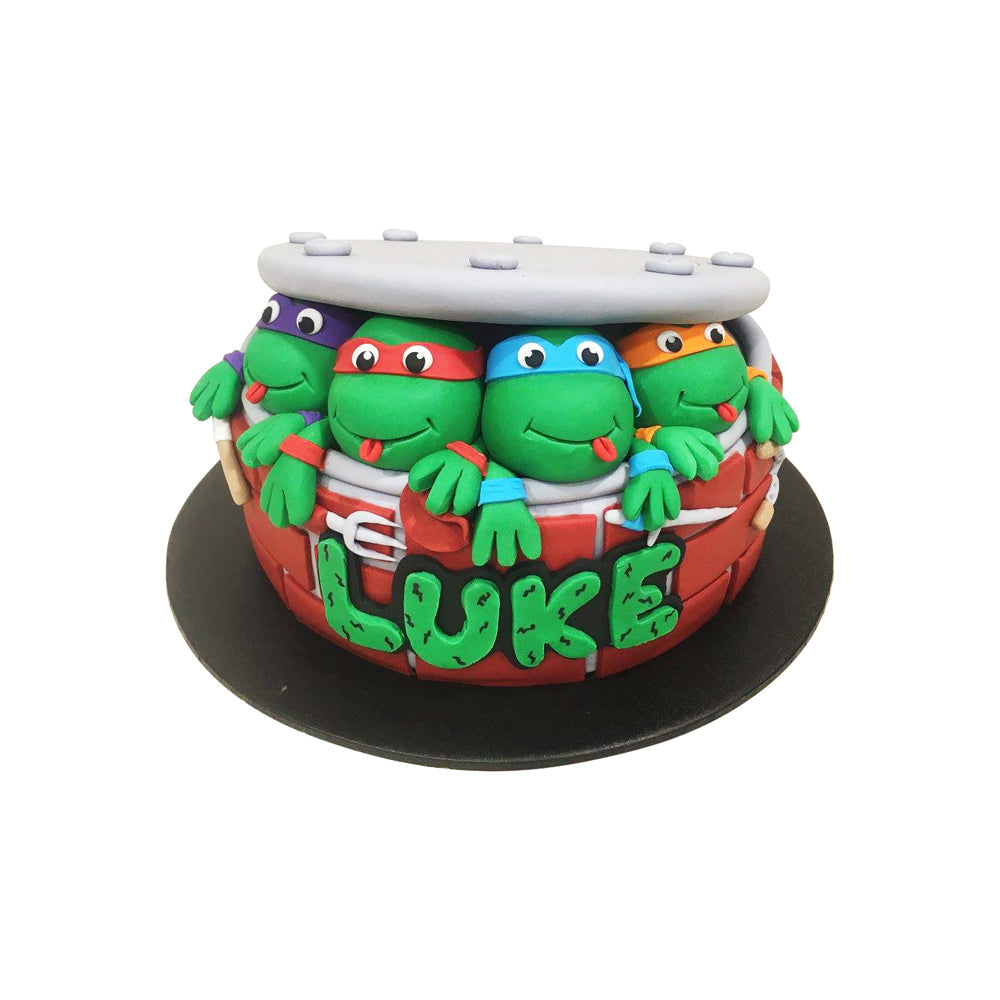 Ninja Turtle Cake (2)