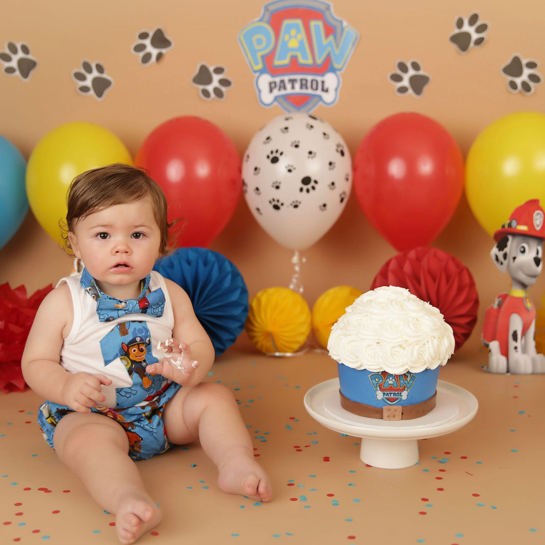 Paw Patrol Giant Cupcake Smash Cake